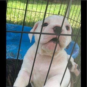 Meet your Posher, Evan